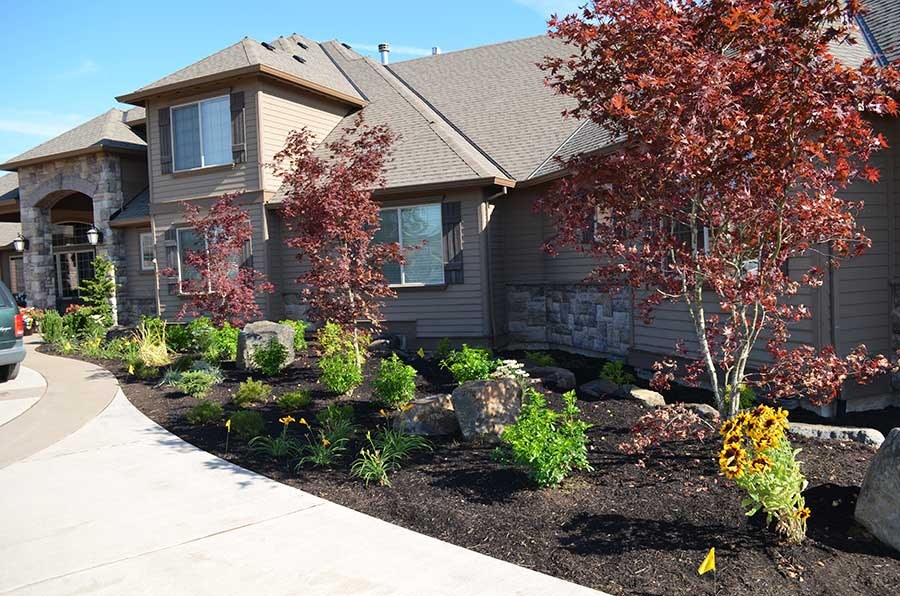 A landscaped garden with established planting beds.
