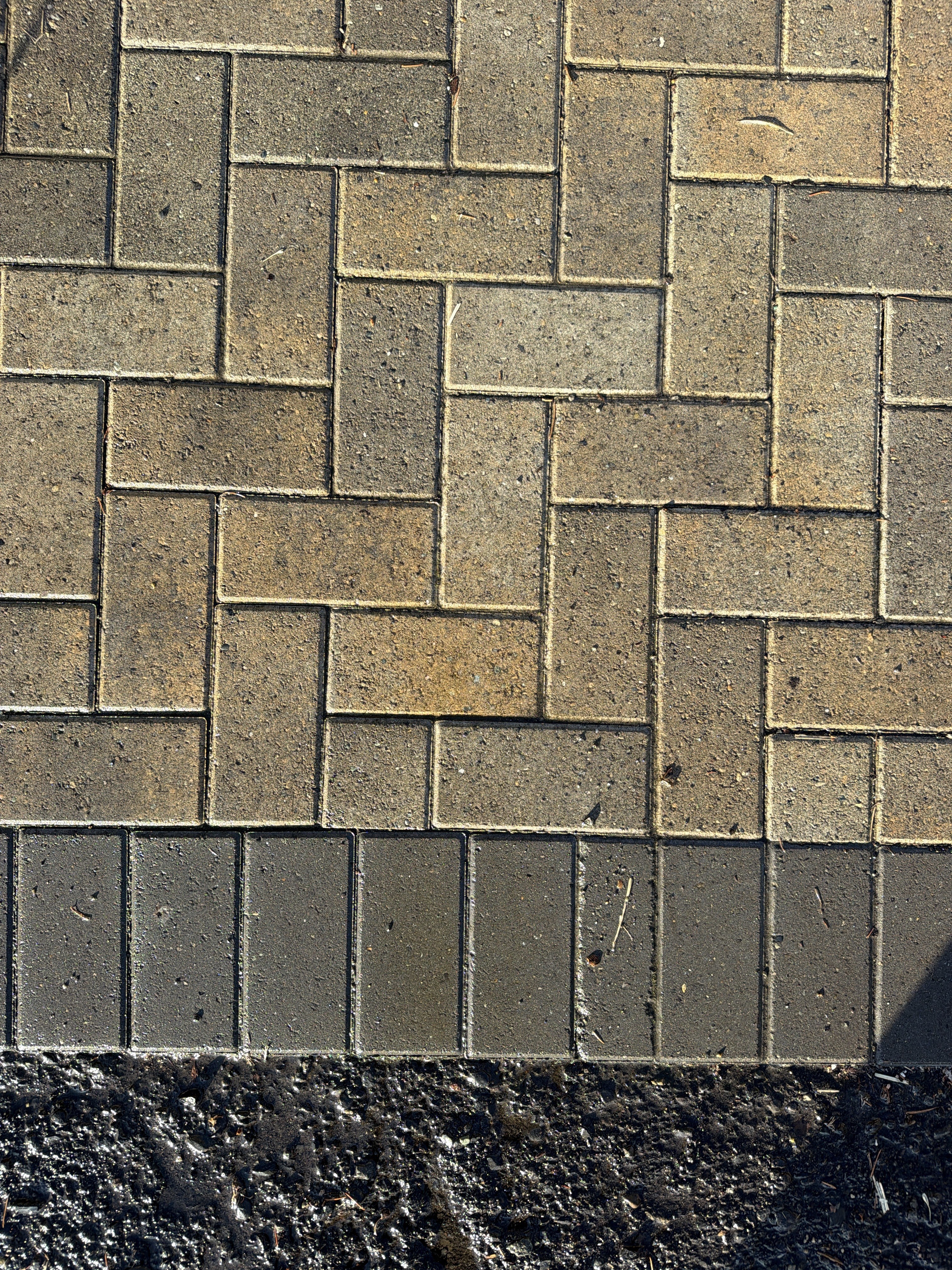 A 90-degree herringbone paver field meeting a darker soldier-course border.