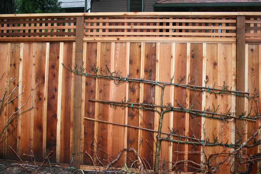 Fences